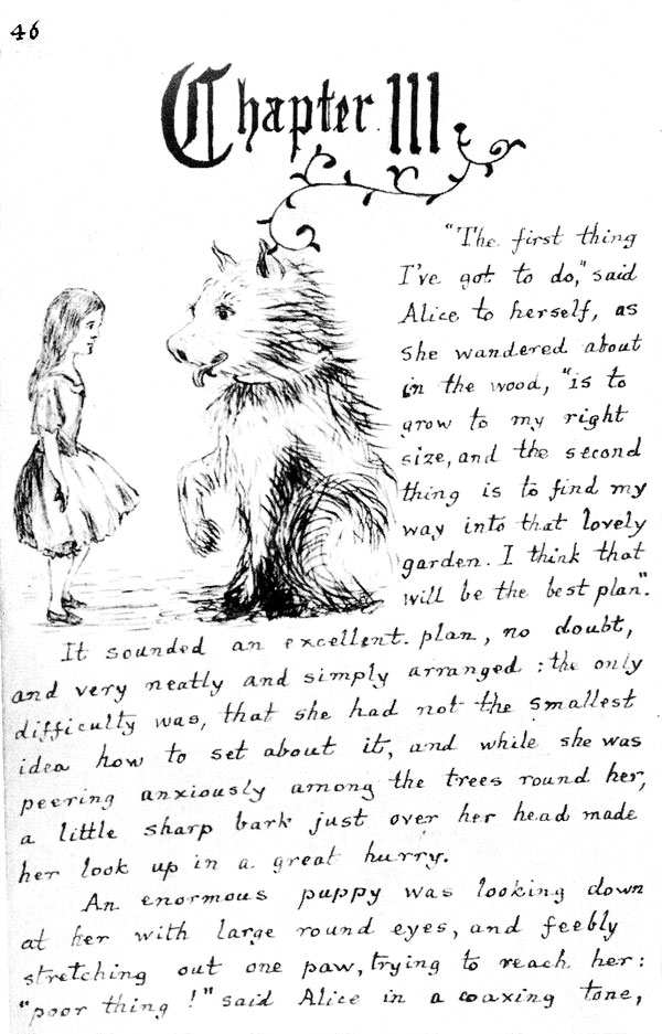 Chapter 3